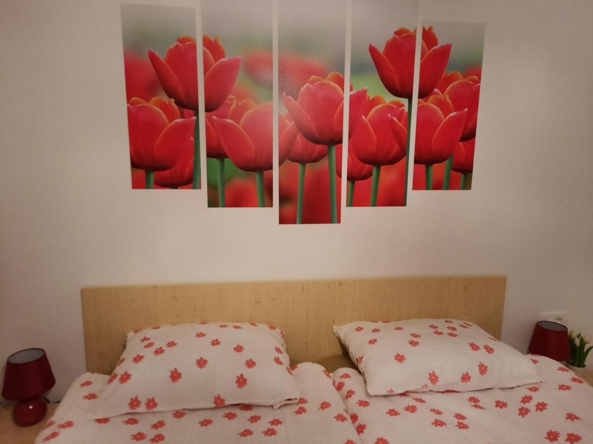 Apartma Rozle 莫斯特拉纳 外观 照片